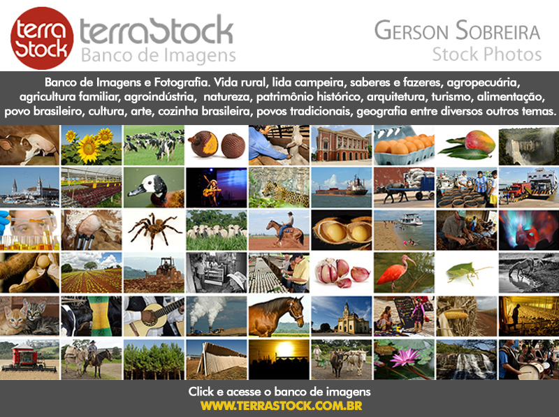 BANCO DE IMAGENS TERRASTOCK